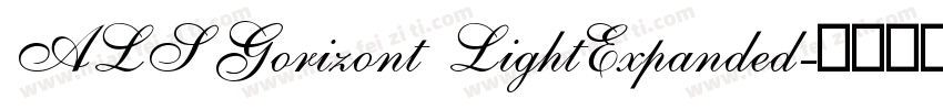 ALSGorizont LightExpanded字体转换